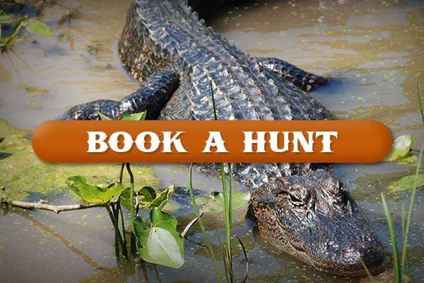 Book a Hunt with Big Slough Ranch Book a Hunt with Big Slough Ranch