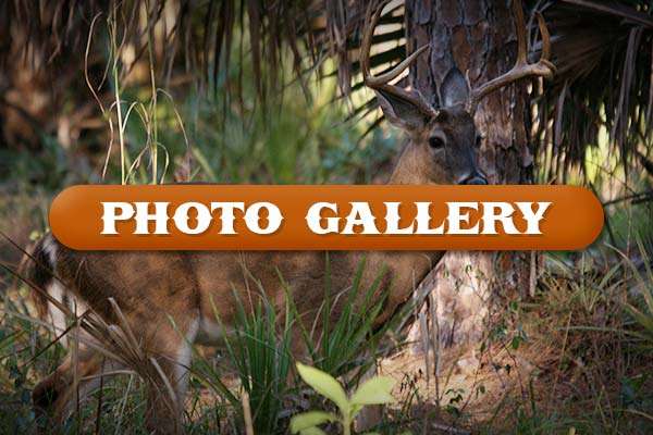 Big Slough Ranch Photo Gallery Big Slough Ranch Photo Gallery